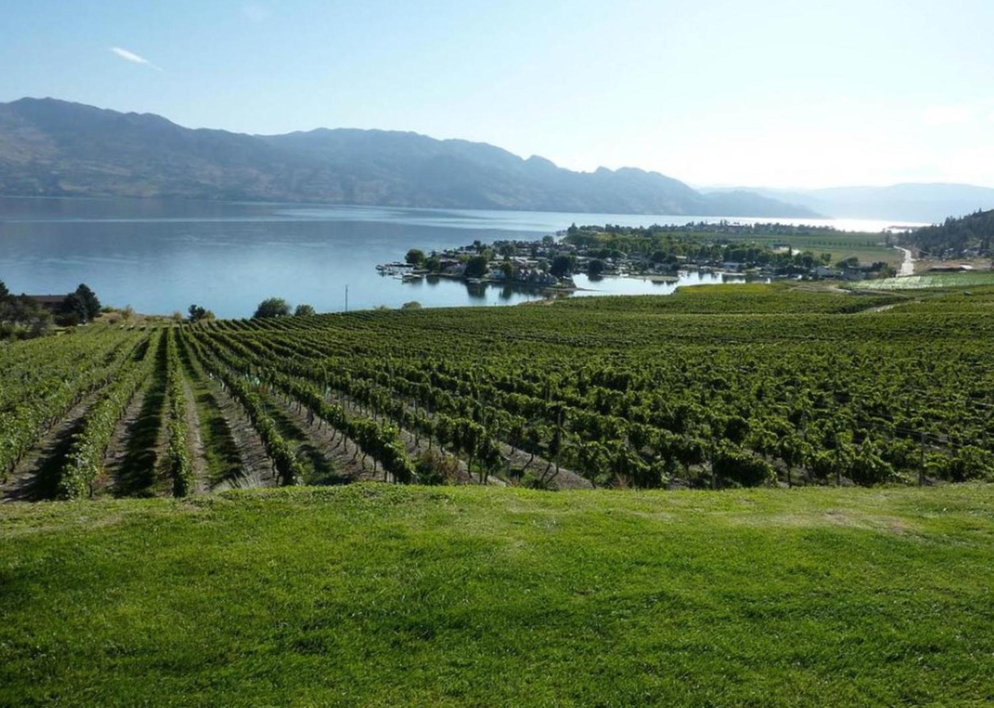 Holiday Inn Hotel & Suites Osoyoos By Ihg Zewnętrze zdjęcie